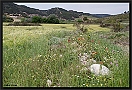 Landschap Andalusie MG 9636 kopie